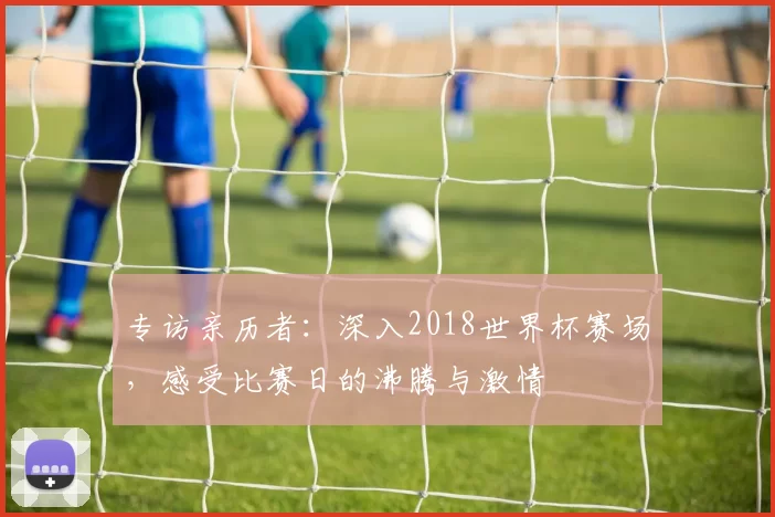 专访亲历者：深入2018世界杯赛场，感受比赛日的沸腾与激情