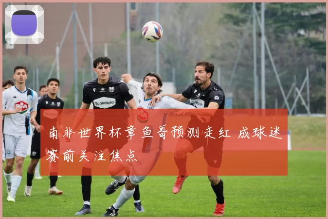 南非世界杯章鱼哥预测走红 成球迷赛前关注焦点