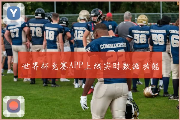 世界杯竞赛APP上线实时数据功能
