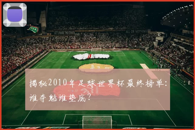 揭秘2010年足球世界杯最终榜单:谁夺魁谁垫底?