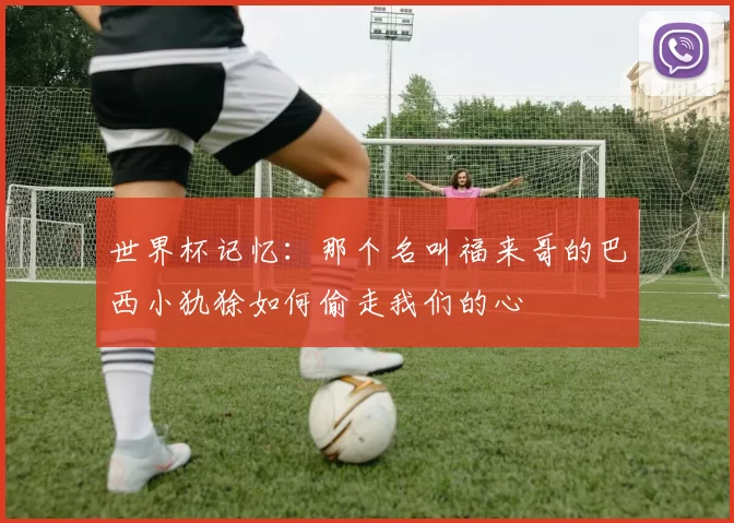 世界杯记忆:那个名叫福来哥的巴西小犰狳如何偷走我们的心