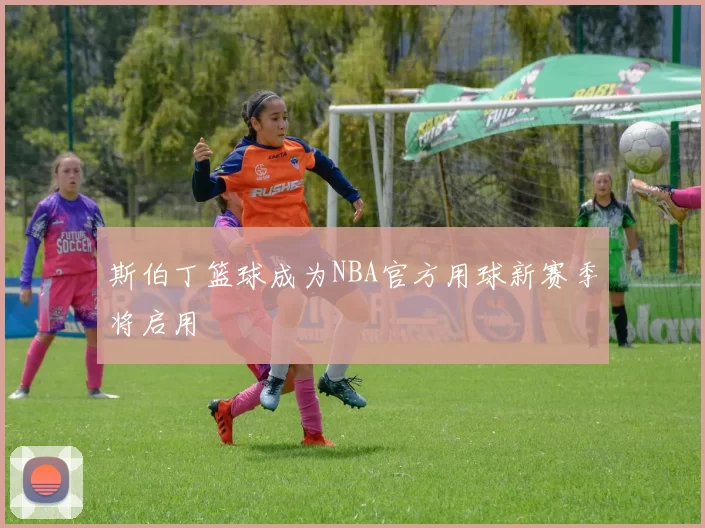 斯伯丁篮球成为NBA官方用球新赛季将启用