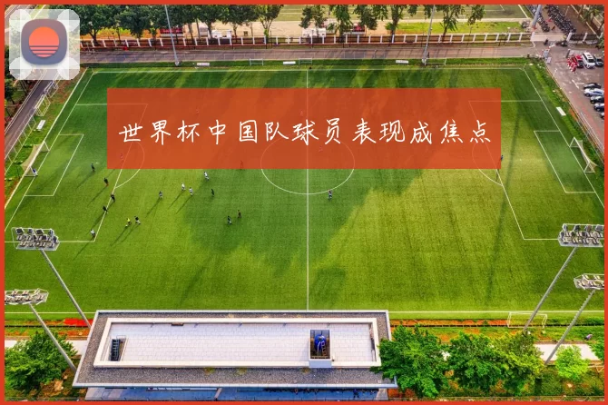 世界杯中国队球员表现成焦点
