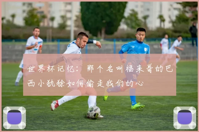 世界杯记忆:那个名叫福来哥的巴西小犰狳如何偷走我们的心