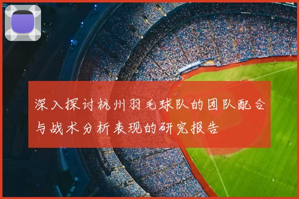 深入探讨杭州羽毛球队的团队配合与战术分析表现的研究报告