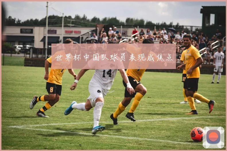 世界杯中国队球员表现成焦点