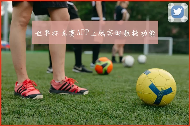 世界杯竞赛APP上线实时数据功能